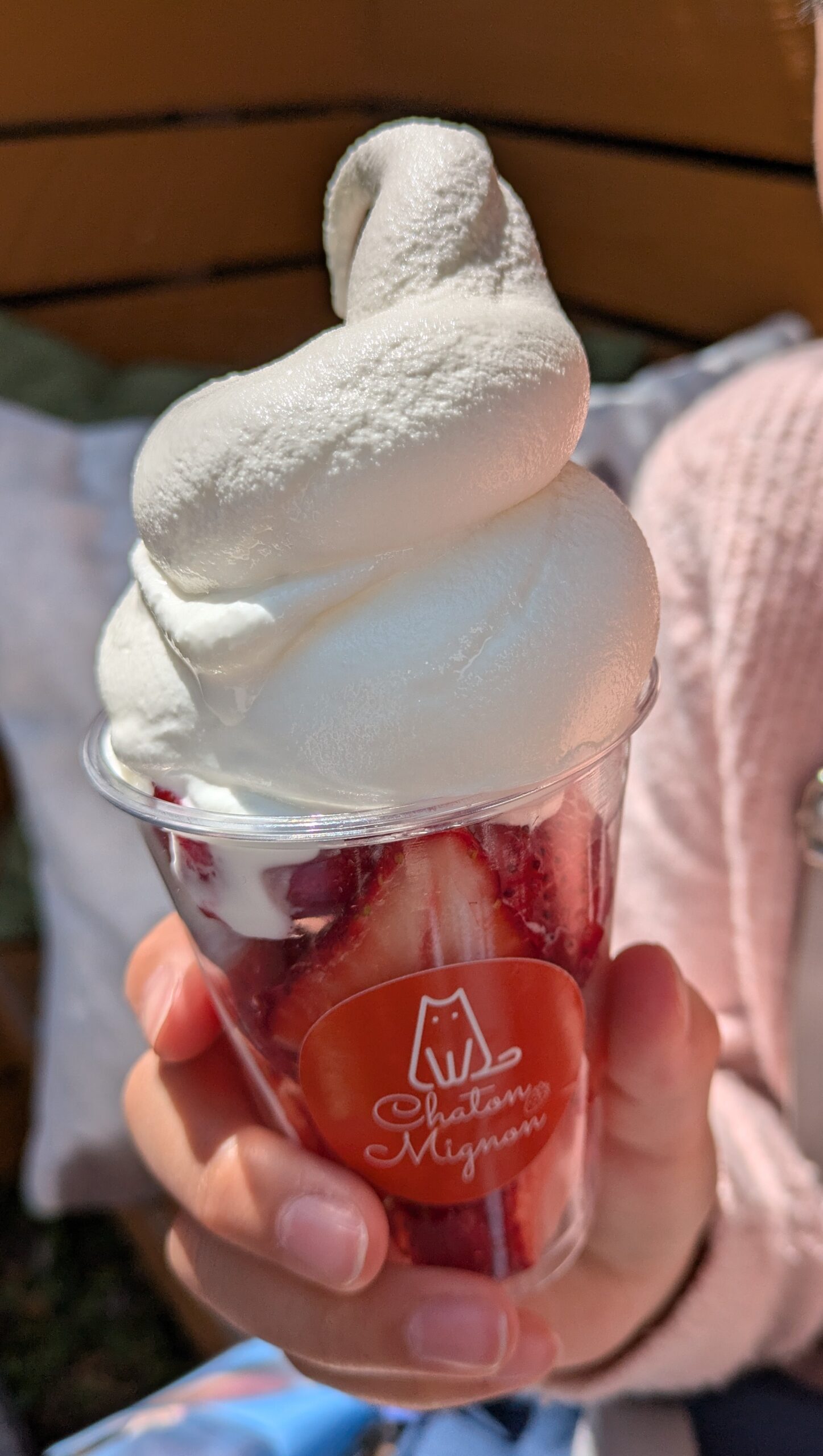 イチゴとソフトクリーム