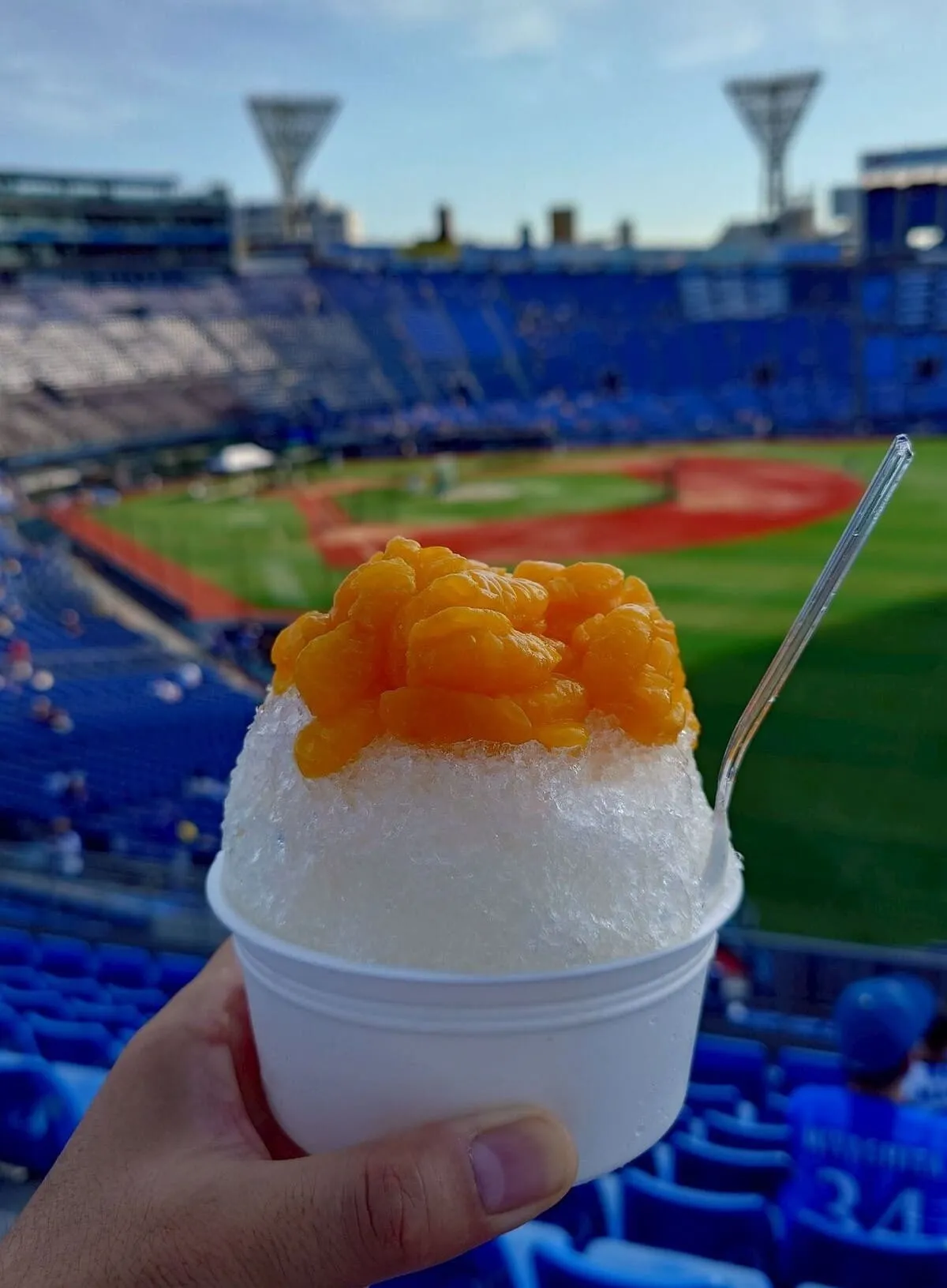 ハマスタ名物みかん氷